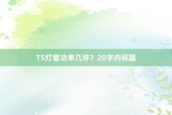 T5灯管功率几许？20字内标题