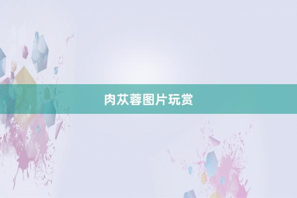 肉苁蓉图片玩赏