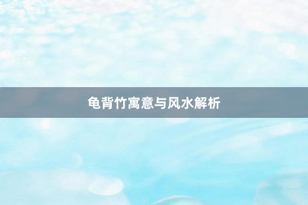 龟背竹寓意与风水解析
