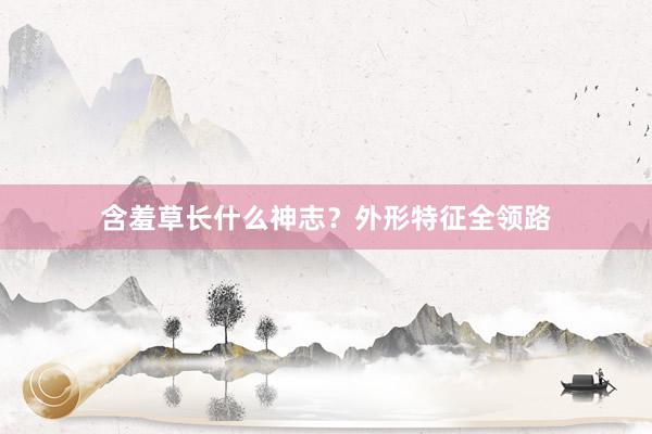 含羞草长什么神志？外形特征全领路