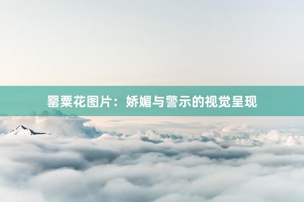 罂粟花图片：娇媚与警示的视觉呈现