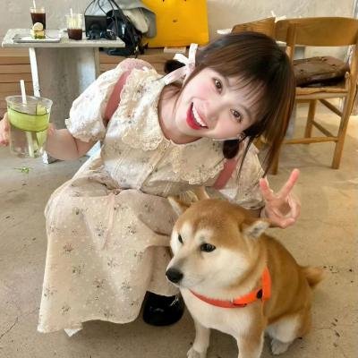 大哥大姐没出息第三季